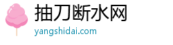 抽刀断水网